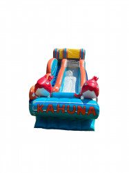 18' Big Kahuna Slide